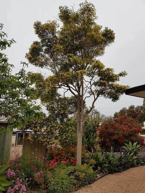 Sinclair Cottage - Accommodation Nelson Bay 25