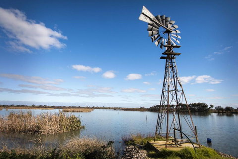 Limestone Ridge - Nelsons Bay Accommodation 16