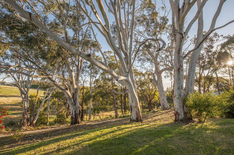 Discovery Parks - Hahndorf - Accommodation Nelson Bay 4