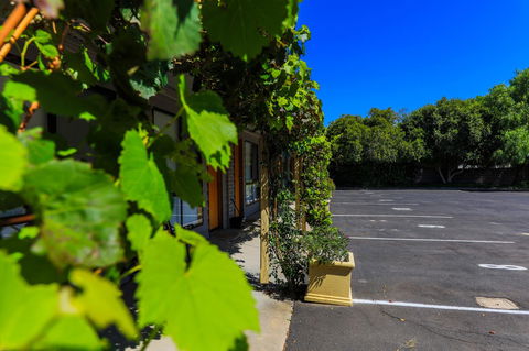 Country Roads Motor Inn Naracoorte - Accommodation Nelson Bay 16