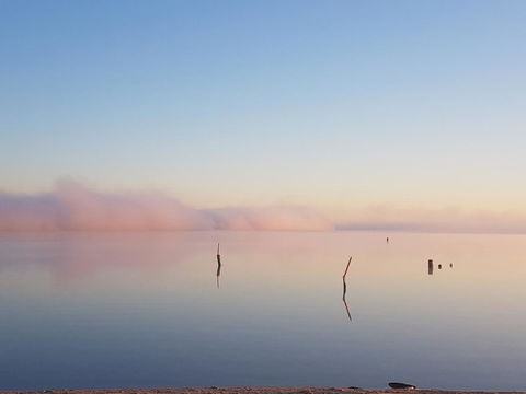 Barmera Lake Resort Motel - Accommodation Nelson Bay 3