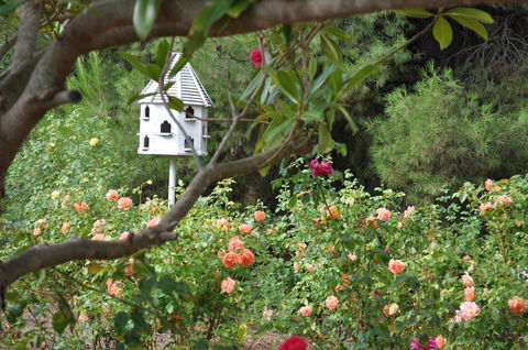 The Lyndoch Motel - Accommodation Nelson Bay 2