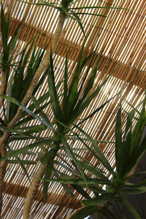 My Port Lincoln Place - Accommodation Nelson Bay 22