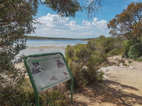Willygunyah - Accommodation Nelson Bay 31