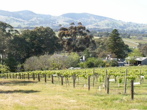 Archery Road Estate - Accommodation Nelson Bay 12