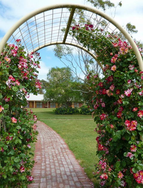 Coonawarra Place Motor Inn - Nelsons Bay Accommodation 20