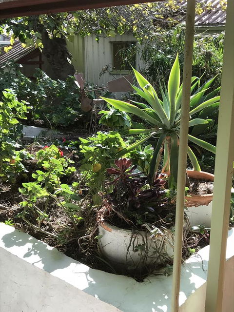 Cosy Nook - Nelsons Bay Accommodation 19