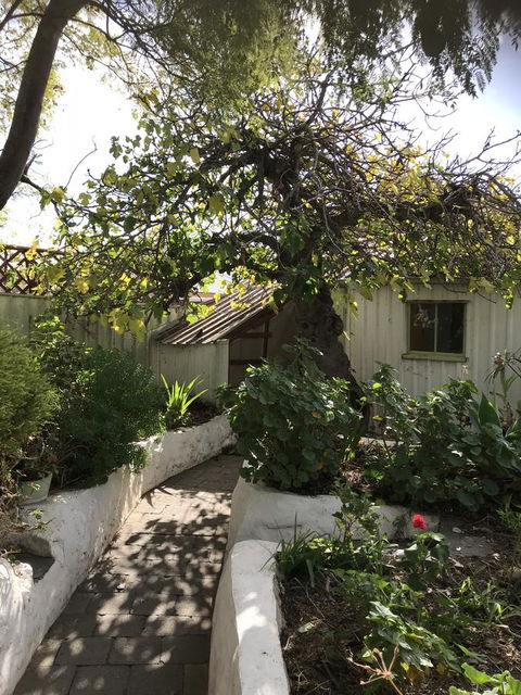 Cosy Nook - Nelsons Bay Accommodation 3