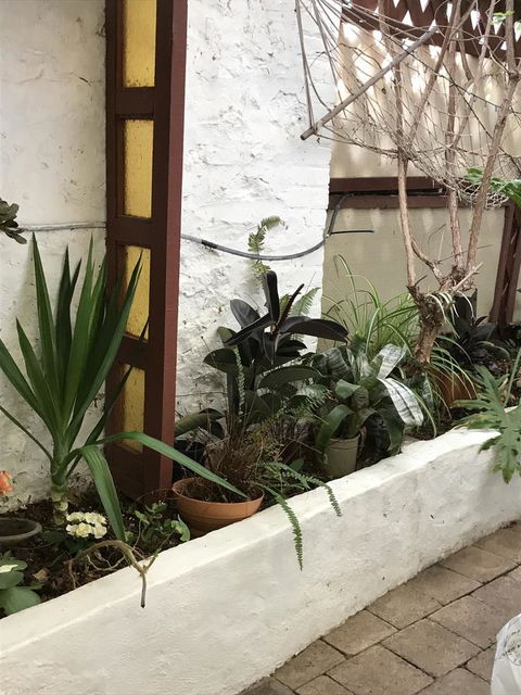 Cosy Nook - Nelsons Bay Accommodation 16