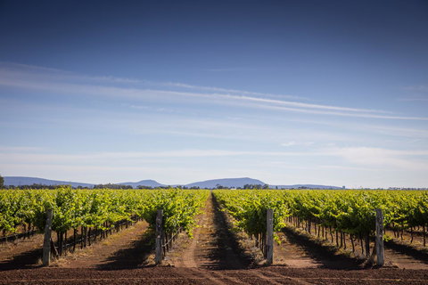 Quest Griffith - Nelsons Bay Accommodation 14