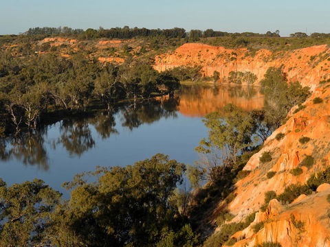 Echo Holiday Parks - Renmark - Nelsons Bay Accommodation 11