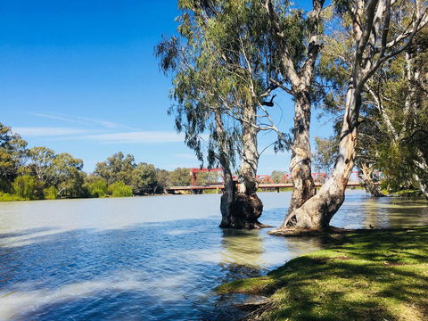 Echo Holiday Parks - Renmark - Nelsons Bay Accommodation 5