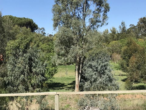 Adagio In Auburn - Nelsons Bay Accommodation 25