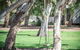South Shores Trevally Villa 38 - South Shores Normanville - thumb 3