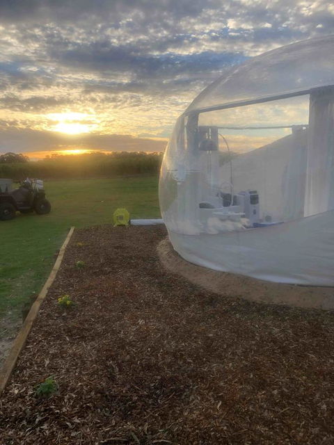 Coonawarra Bubble Tents - Nelsons Bay Accommodation 6