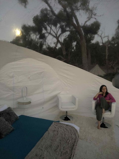 Coonawarra Bubble Tents - Nelsons Bay Accommodation 1