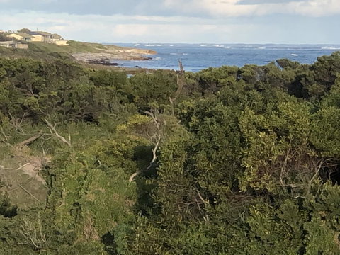 Rocks Retreat House With Sea Views - Nelson Bay Accommodation.com 3