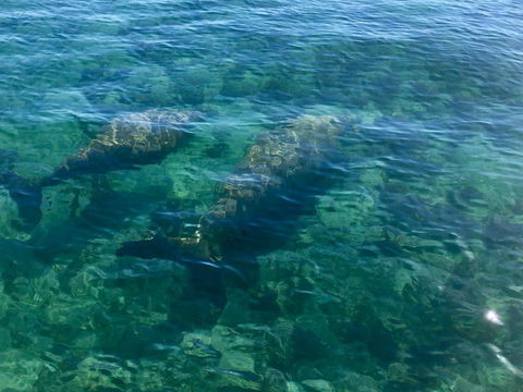 Escape 2 Exmouth - Accommodation Nelson Bay 28