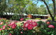 Margaret River Tourist Park - thumb 25