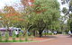 Margaret River Tourist Park - thumb 43