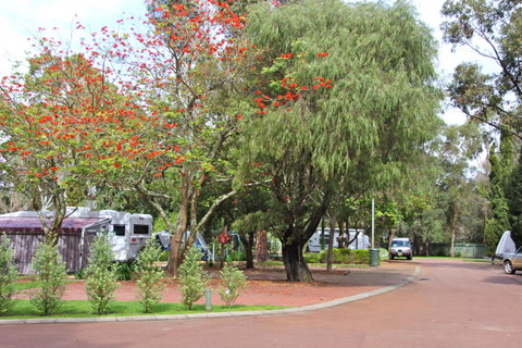 Margaret River Tourist Park - Accommodation Nelson Bay 43