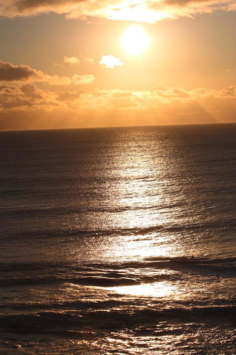 Riverview Tourist Park - Accommodation Nelson Bay 32