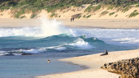 Riverview Tourist Park - Accommodation Nelson Bay 34