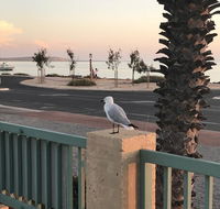 Shark Bay Seafront Apartments - Nelsons Bay Accommodation