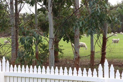 Sapphire Chalets, Augusta - Accommodation Nelson Bay 9
