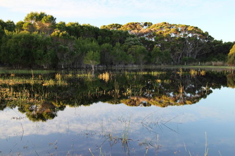 Sapphire Chalets, Augusta - Accommodation Nelson Bay 14
