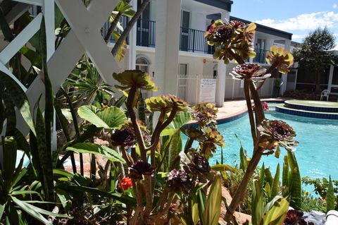 West Beach Lagoon 220 Stylish And Cozy - Accommodation Nelson Bay 18