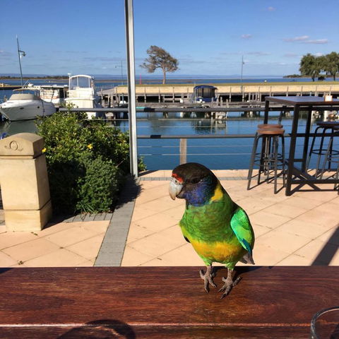 Mandurah Quay Resort - Accommodation Nelson Bay 32