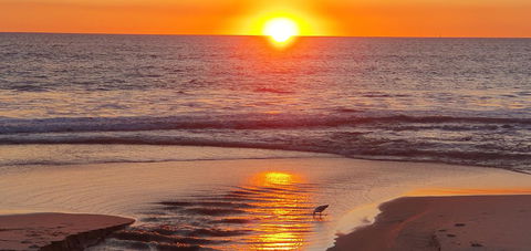 West Beach Lagoon 123 - Location & Views!!! - Accommodation Nelson Bay 24