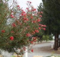 The Heights Bed  Breakfast - Accommodation Nelson Bay