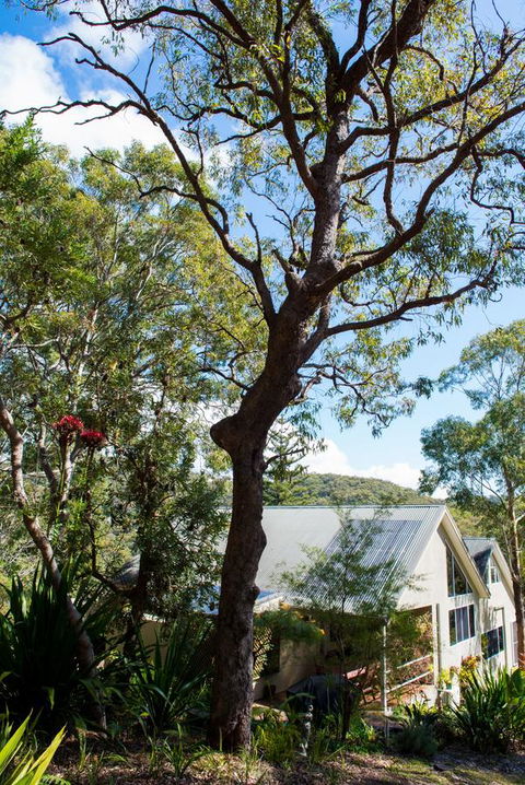 Nelson Bay Bed & Breakfast - Accommodation Nelson Bay 42