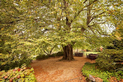 Nesuto Leura Gardens (formerly Waldorf Leura Gardens Resort) - Accommodation Nelson Bay 1