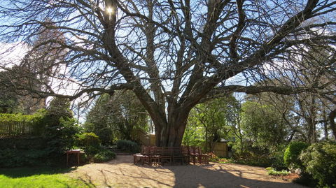 Nesuto Leura Gardens (formerly Waldorf Leura Gardens Resort) - Accommodation Nelson Bay 3