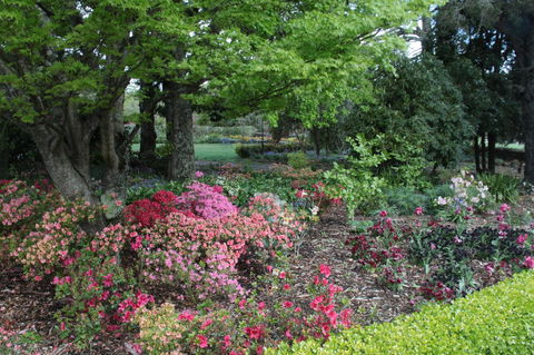 Nesuto Leura Gardens (formerly Waldorf Leura Gardens Resort) - Accommodation Nelson Bay 2