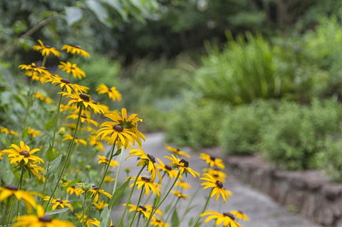 Nesuto Leura Gardens (formerly Waldorf Leura Gardens Resort) - Accommodation Nelson Bay 16