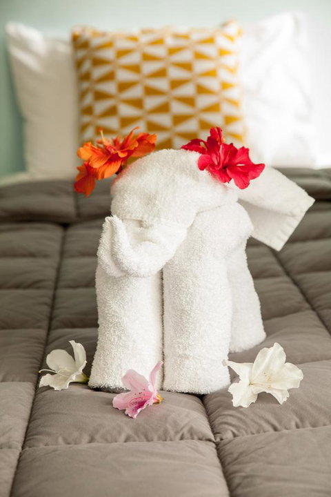 Kempsey Rose Motor Inn - Nelsons Bay Accommodation 17