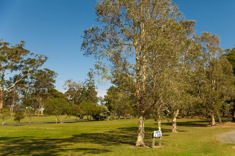 Kempsey Rose Motor Inn - Nelsons Bay Accommodation 32