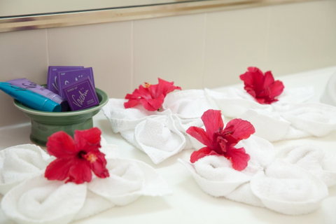 Kempsey Rose Motor Inn - Nelsons Bay Accommodation 14