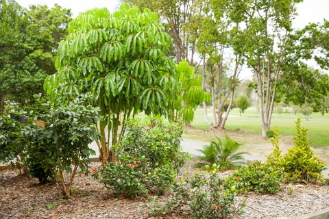Kempsey Rose Motor Inn - Nelsons Bay Accommodation 42
