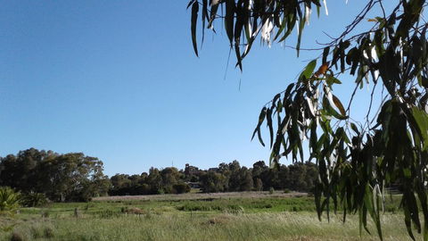 Junee Motor Inn - Accommodation Nelson Bay 8