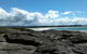 Sweet Spot Shellharbour - thumb 11