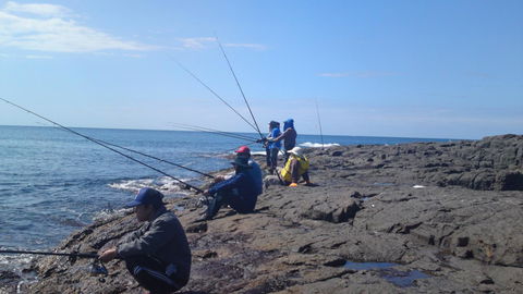 Sweet Spot Shellharbour - Accommodation Nelson Bay 13