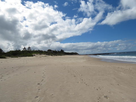Sweet Spot Shellharbour - Accommodation Nelson Bay 15