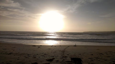 Sweet Spot Shellharbour - Accommodation Nelson Bay 16