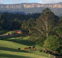 Amaroo Valley Springs - Accommodation Nelson Bay
