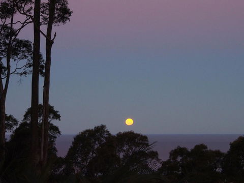 Bundle Hill Cottages - Accommodation Nelson Bay 36